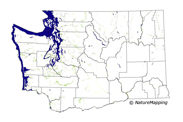 distribution map