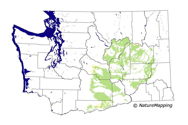 Click to enlarge Range map