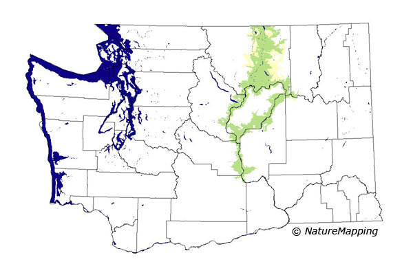 Click to enlarge Range map