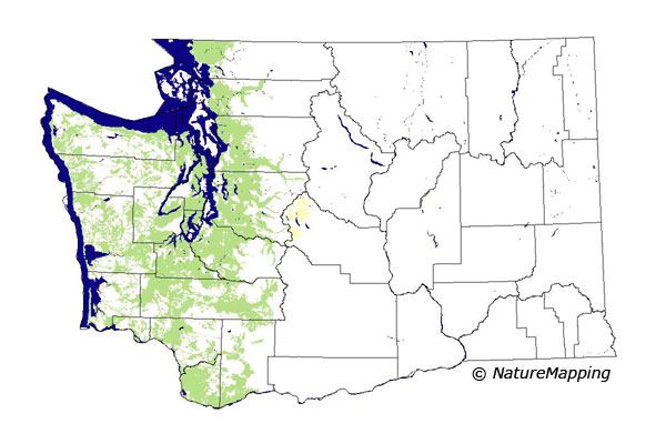 Click to enlarge Range map