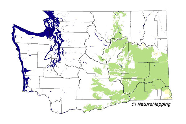 distribution map