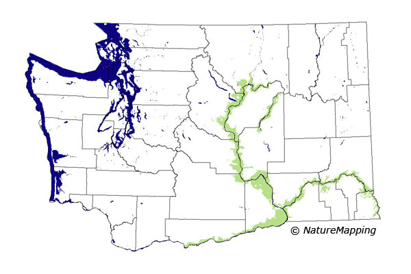 Click to enlarge Range map