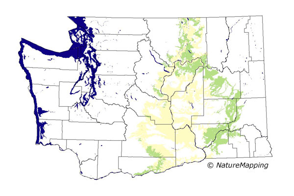 Click to enlarge Range map