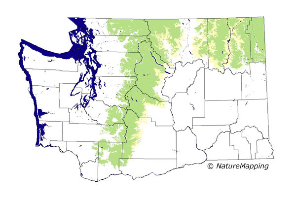 Click to enlarge Range map