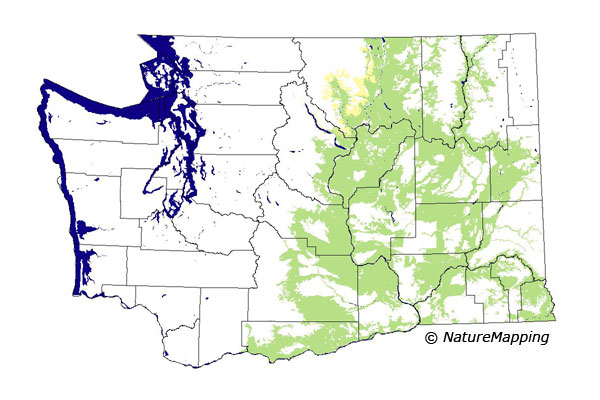 distribution map