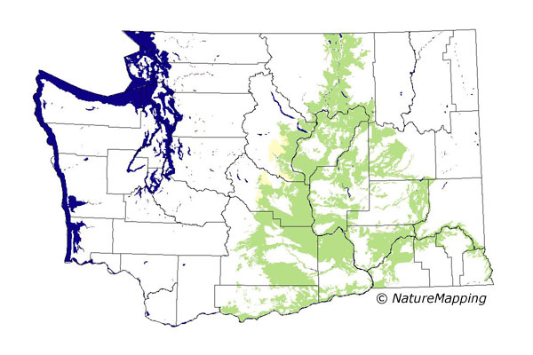 distribution map