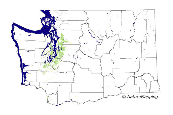 distribution map