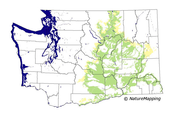 distribution map