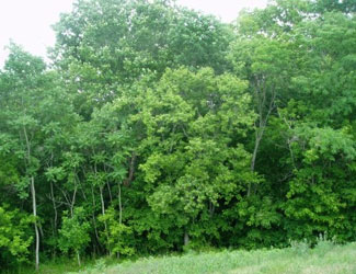 habitat 7