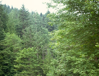 habitat 9