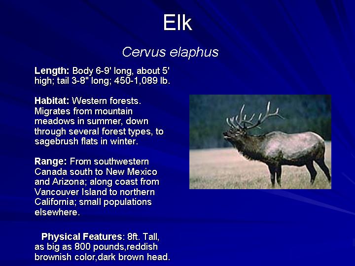 Field Guide
