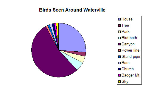 bird graph