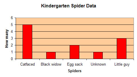 spider graph