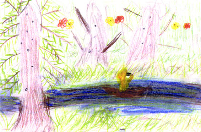 riparian habitat picture