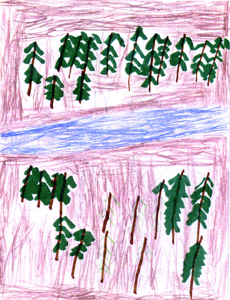 forest