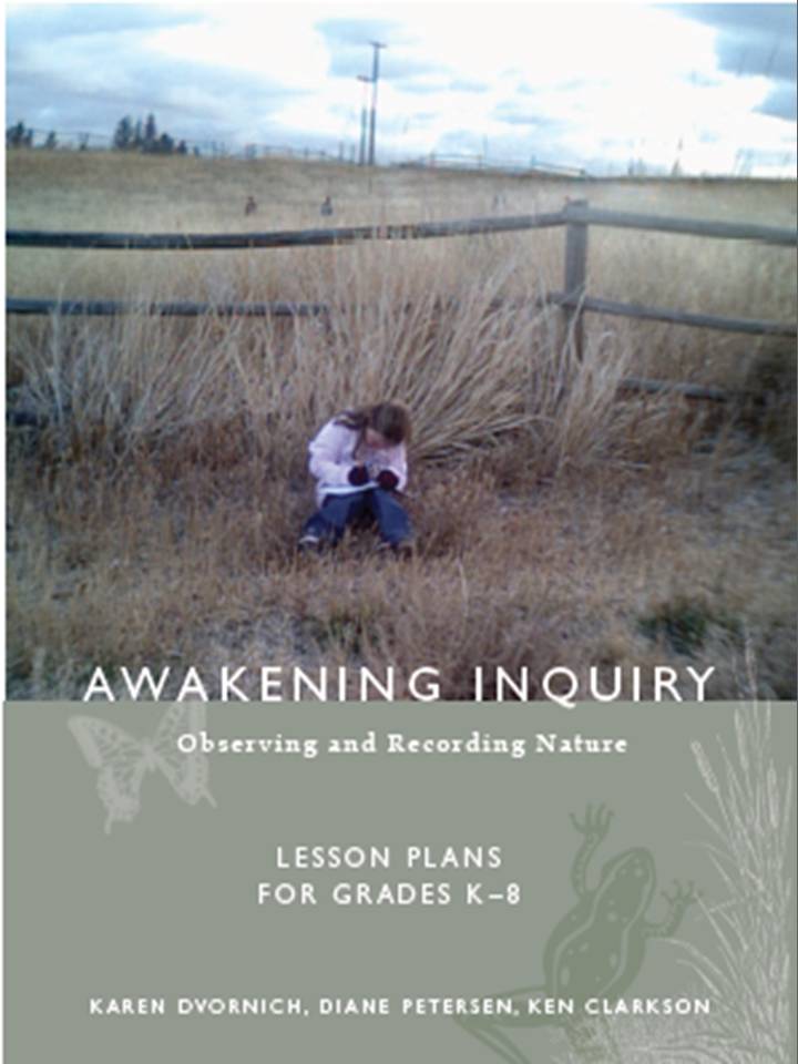 Awakening Inquiry